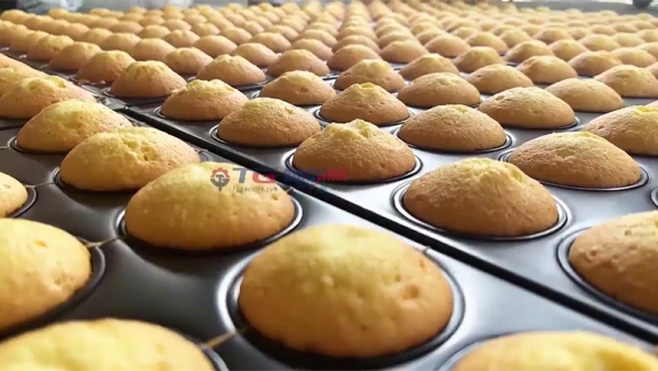 Linha de produção de biscoitos e cupcakes semiautomática